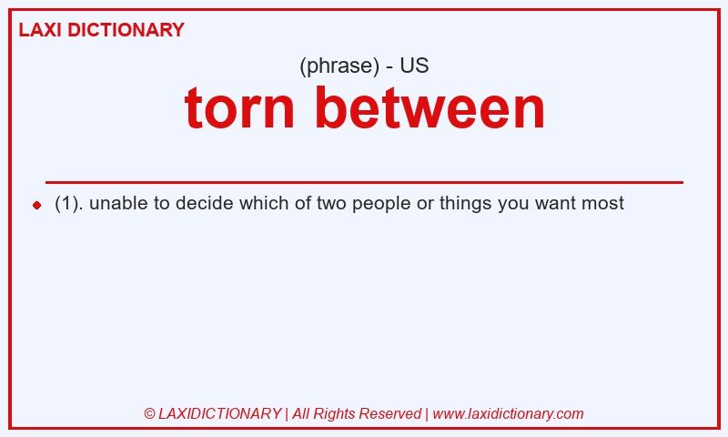 Definition torn between in American English