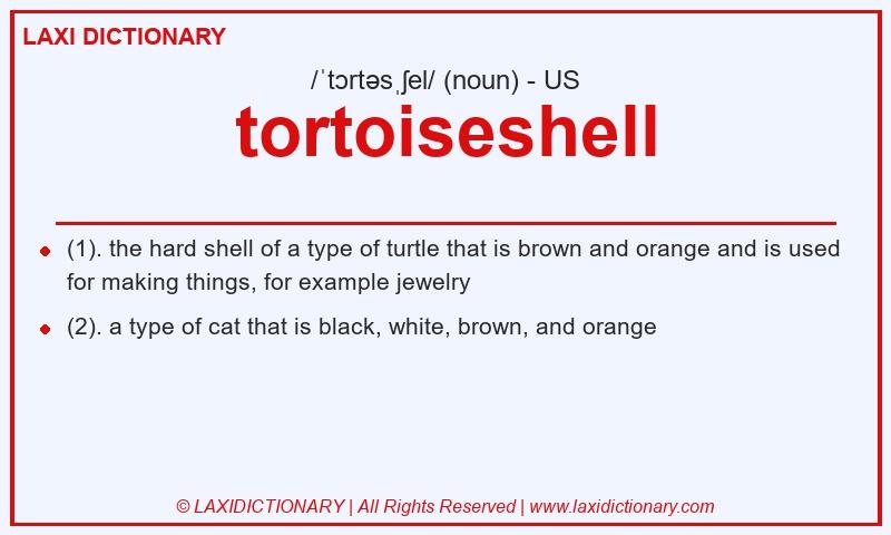 Definition tortoiseshell in American English