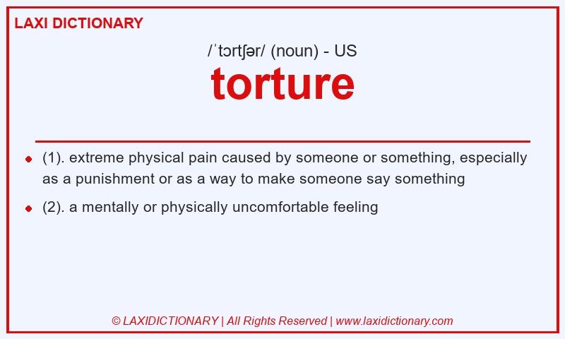 Definition torture in American English