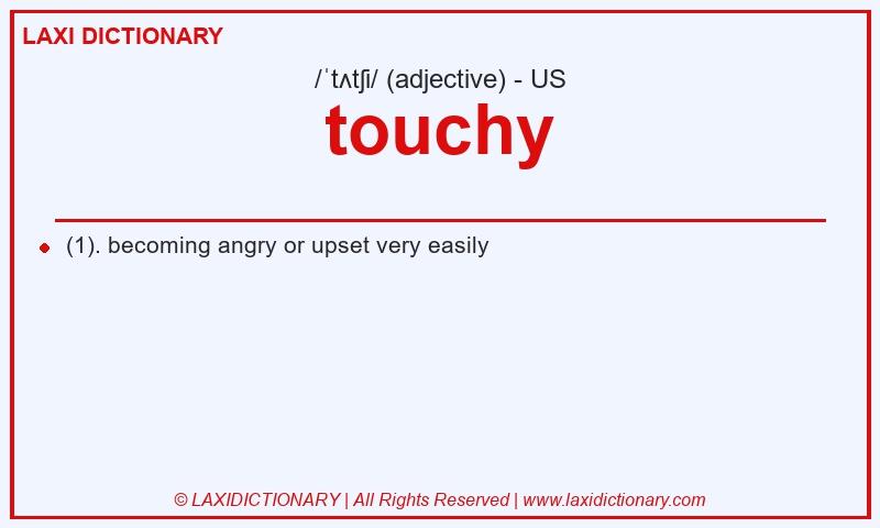 Definition touchy in American English