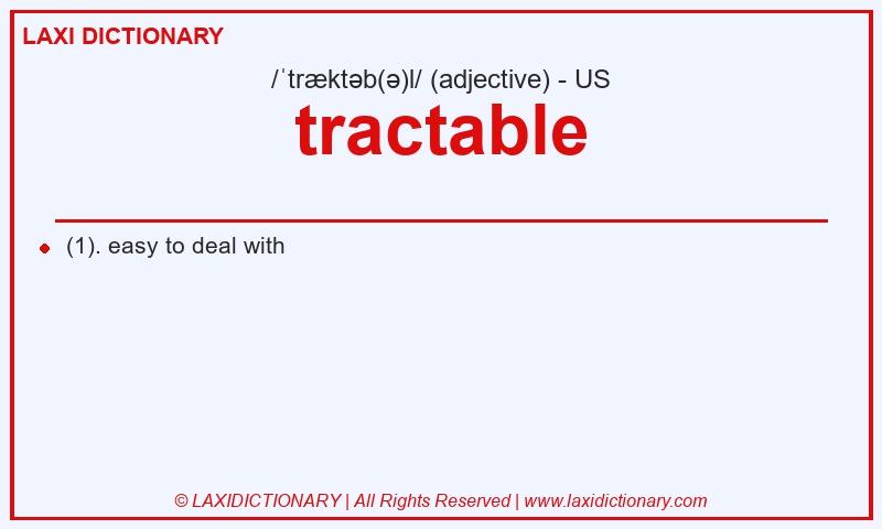 Definition tractable in American English