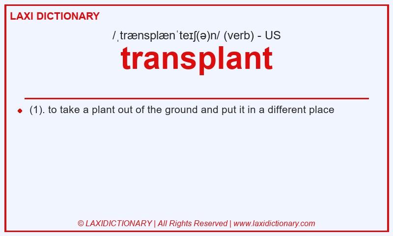 Definition transplant in American English