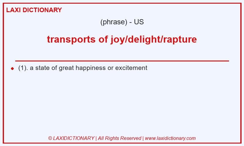 Definition transports of joy/delight/rapture in American English