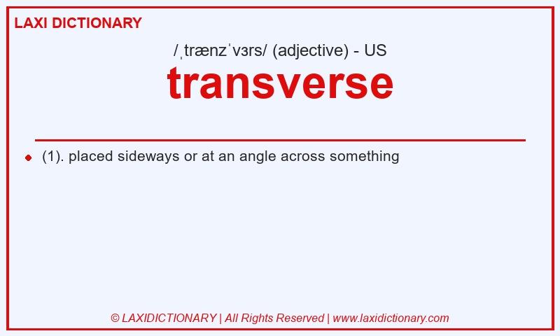 Definition transverse in American English