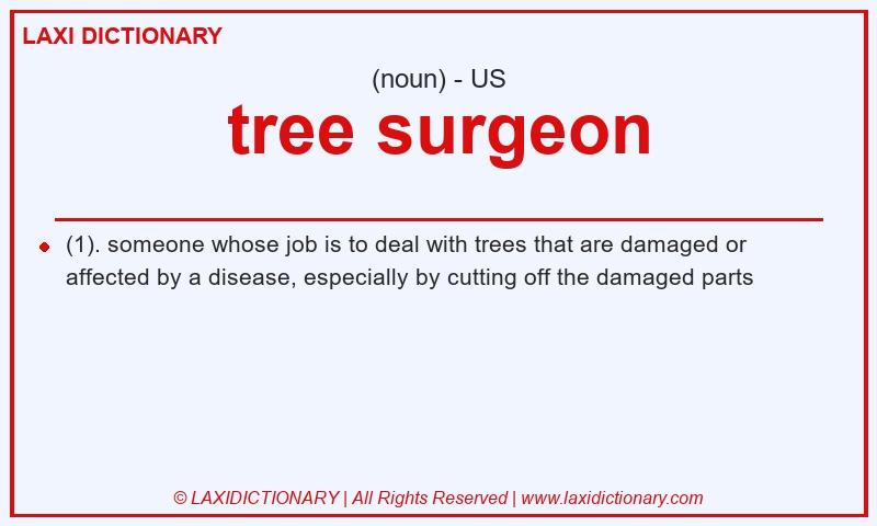 Definition tree surgeon in American English