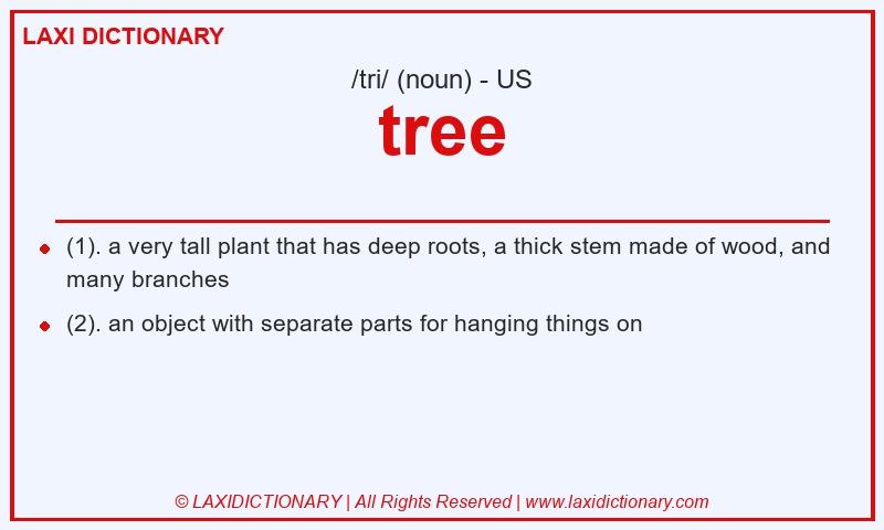 Definition tree in American English