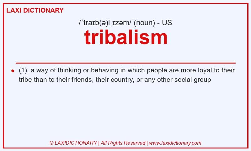 Definition tribalism in American English