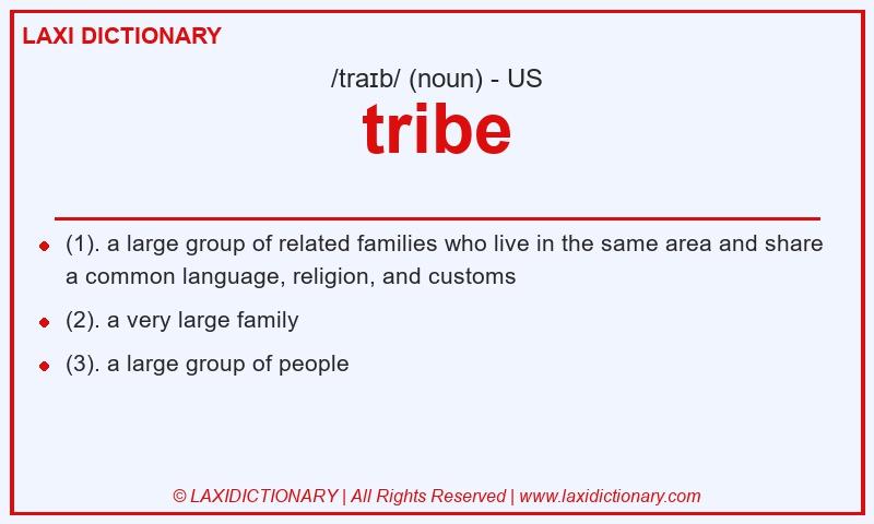 Definition tribe in American English