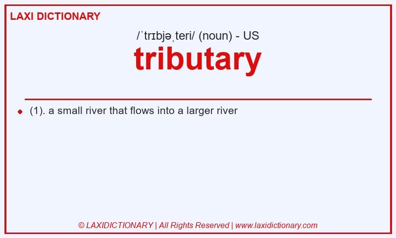 Definition tributary in American English
