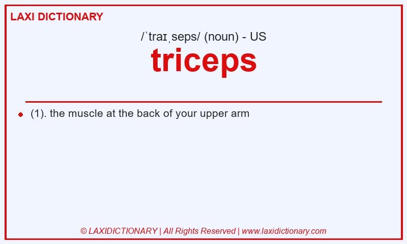 Definition triceps in American English