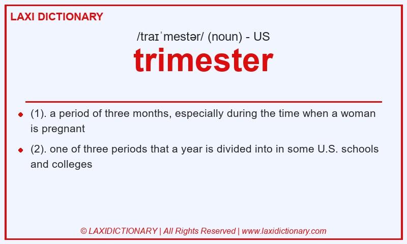 Definition trimester in American English