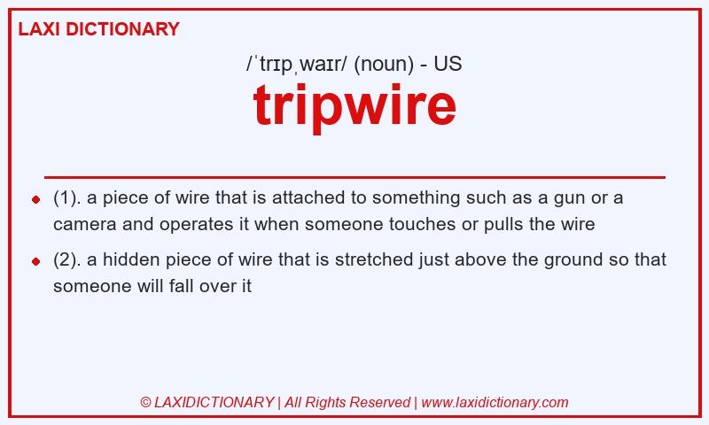 Definition tripwire in American English