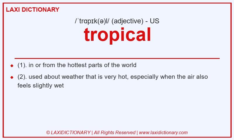 Definition tropical in American English