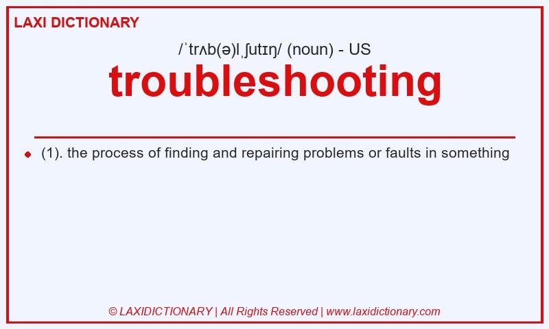 Definition troubleshooting in American English