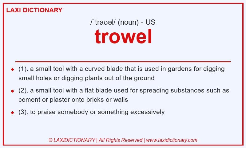 Definition trowel in American English