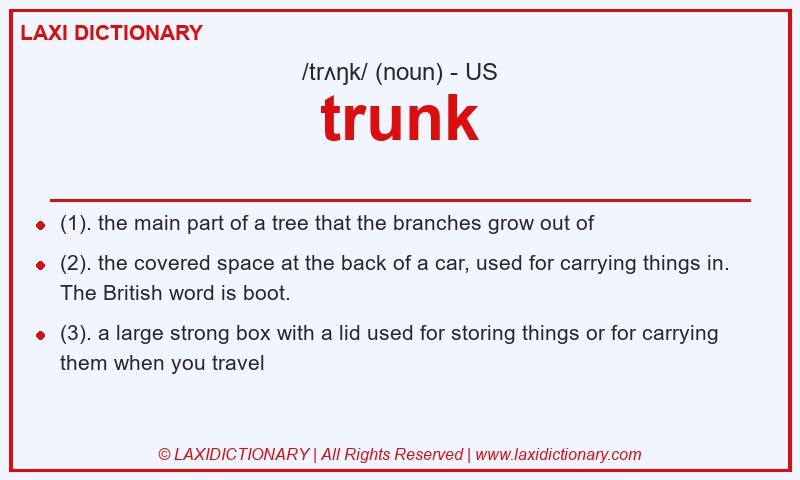 Definition trunk in American English