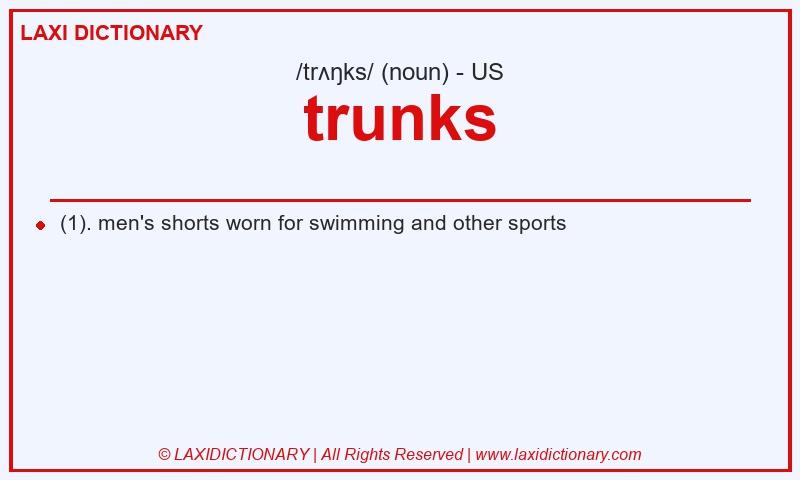 Definition trunks in American English