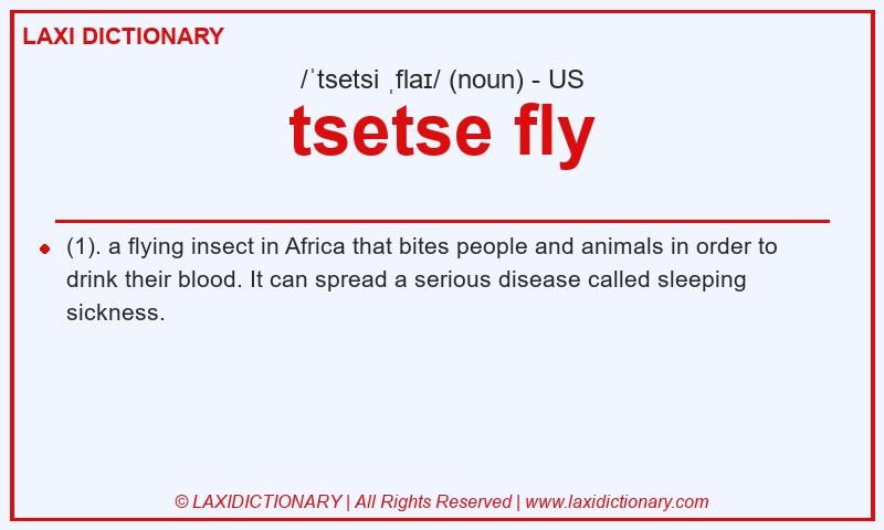 Definition tsetse fly in American English