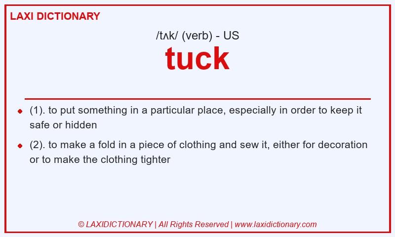 Definition tuck in American English