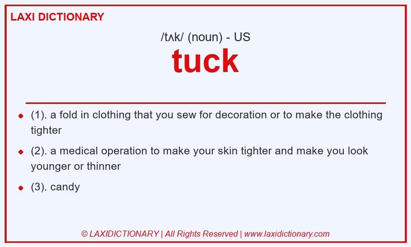 Definition tuck in American English