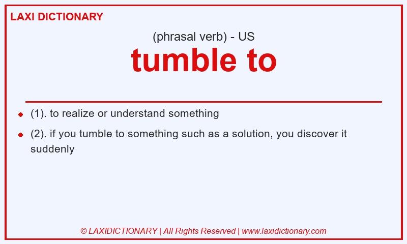 Definition tumble to in American English