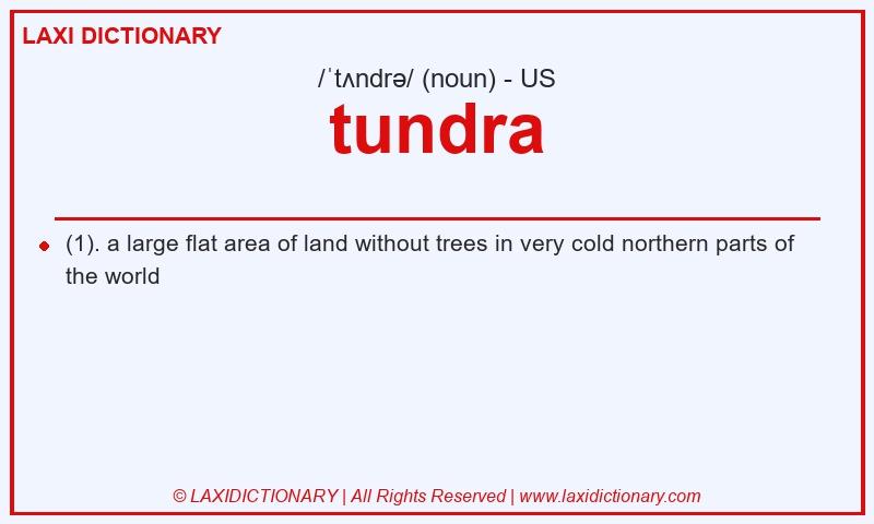 Definition tundra in American English