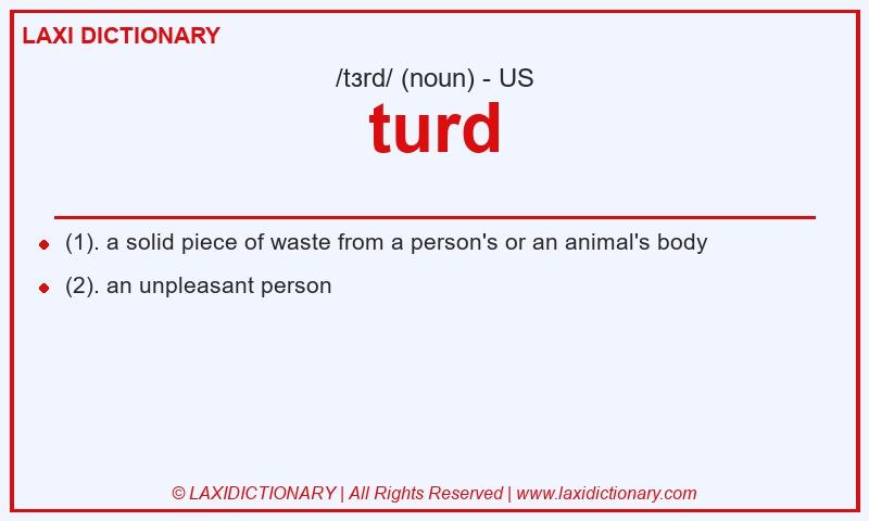 Definition turd in American English