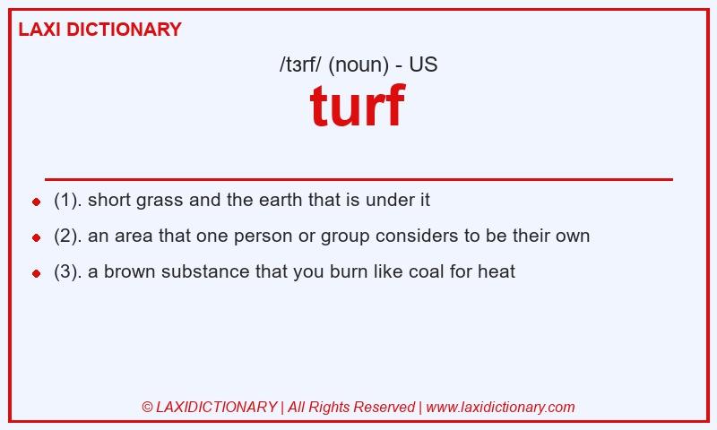 Definition turf in American English