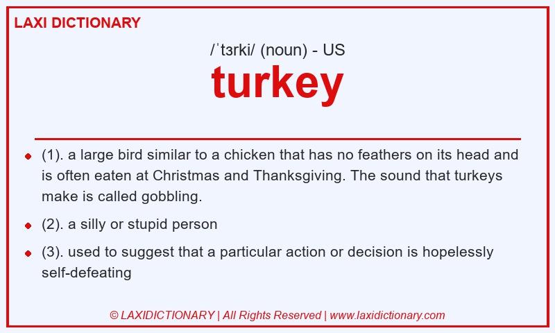 Definition turkey in American English