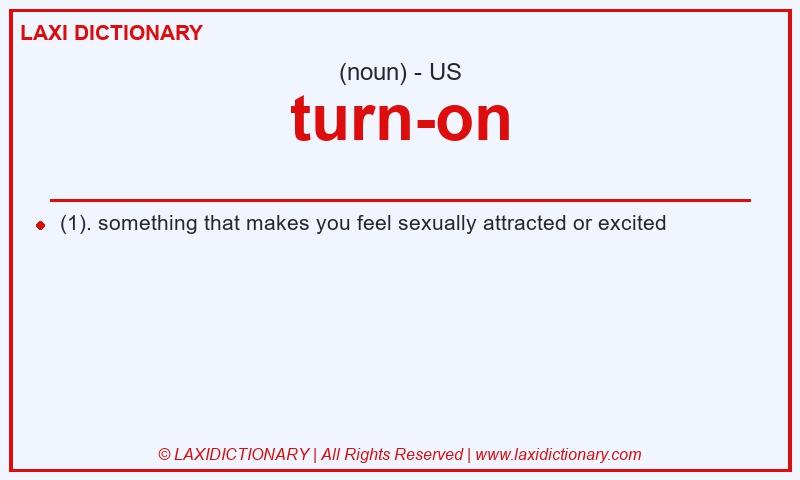 Definition turn-on in American English