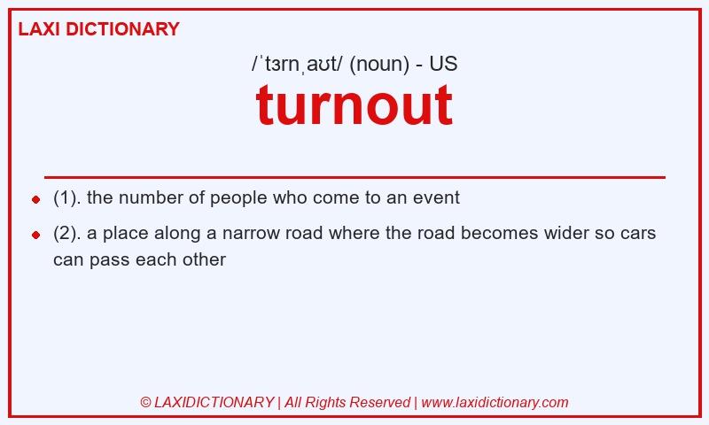 Definition turnout in American English