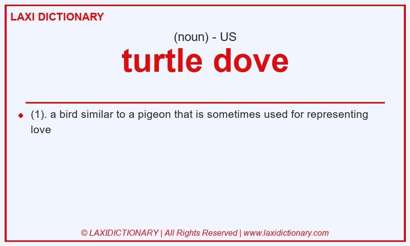 Definition turtle dove in American English