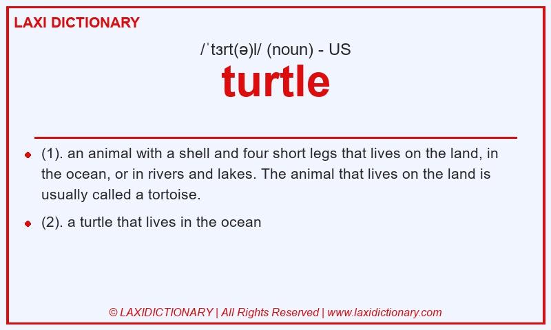 Definition turtle in American English