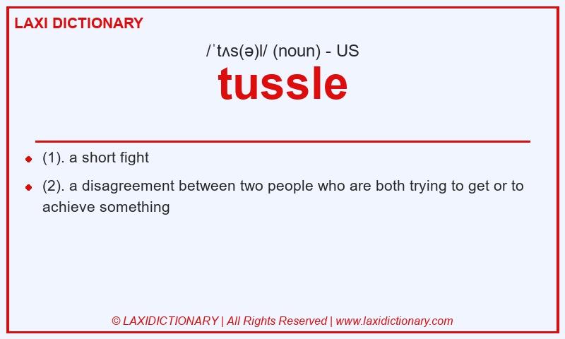 Definition tussle in American English