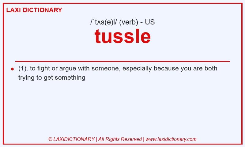 Definition tussle in American English