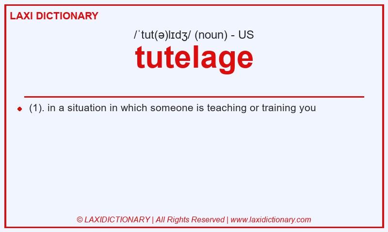 Definition tutelage in American English