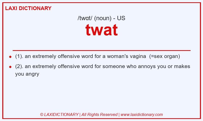 Definition twat in American English