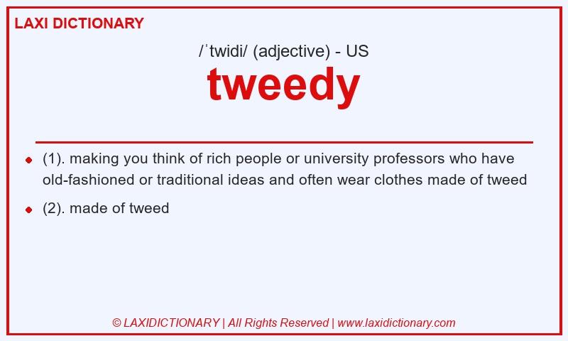 Definition tweedy in American English