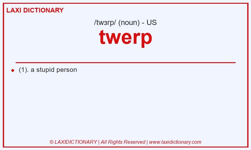 Definition twerp in American English