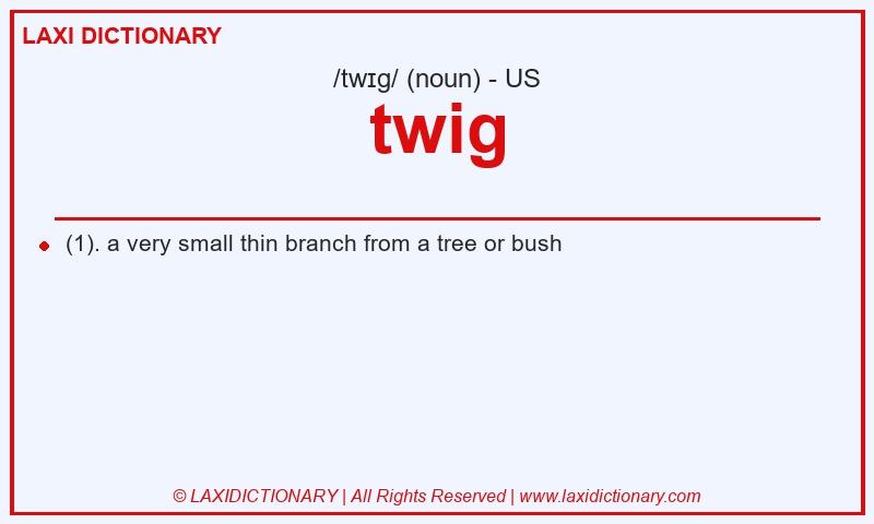 Definition twig in American English