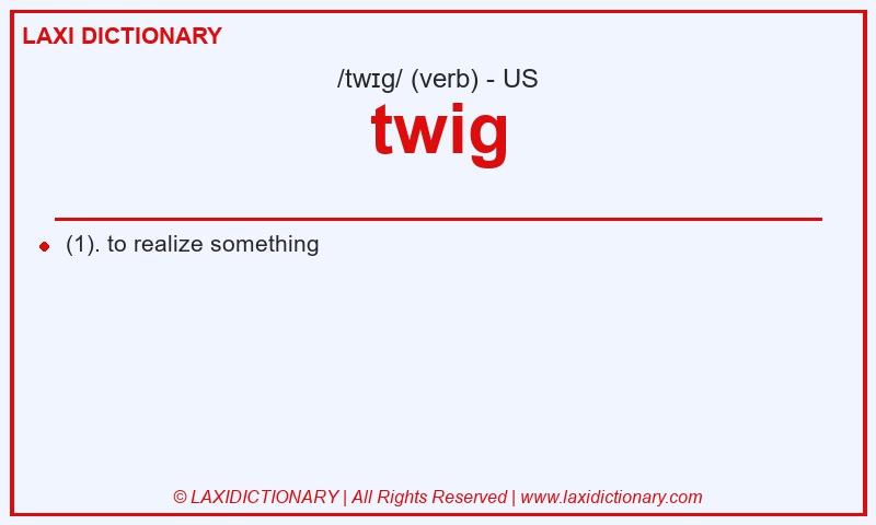 Definition twig in American English
