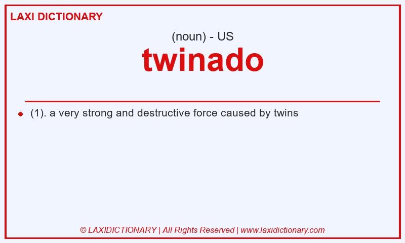 Definition twinado in American English