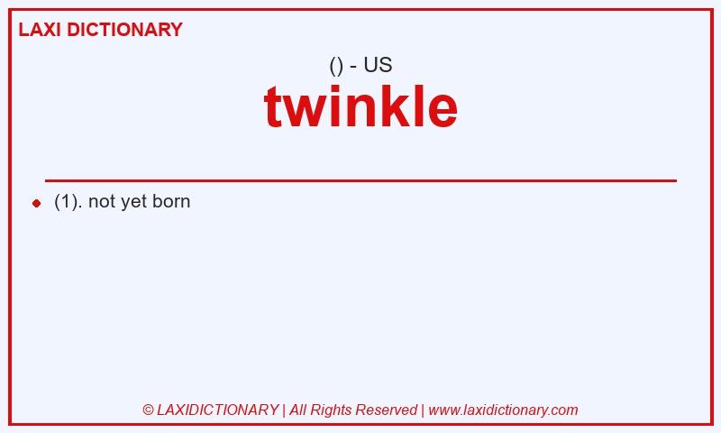 Definition twinkle in American English