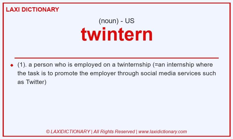 Definition twintern in American English