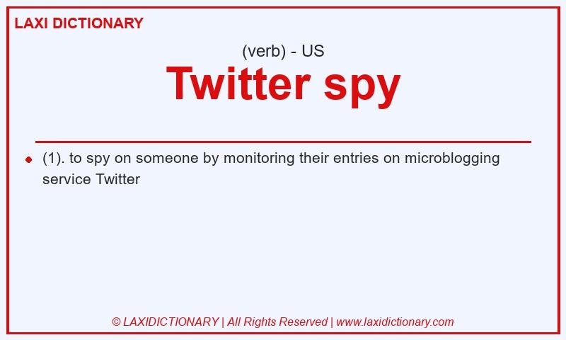 Definition Twitter spy in American English