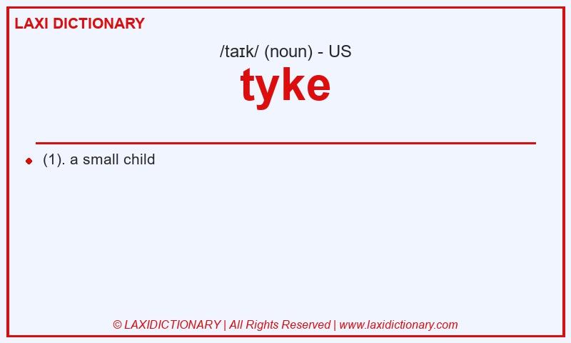 Definition tyke in American English