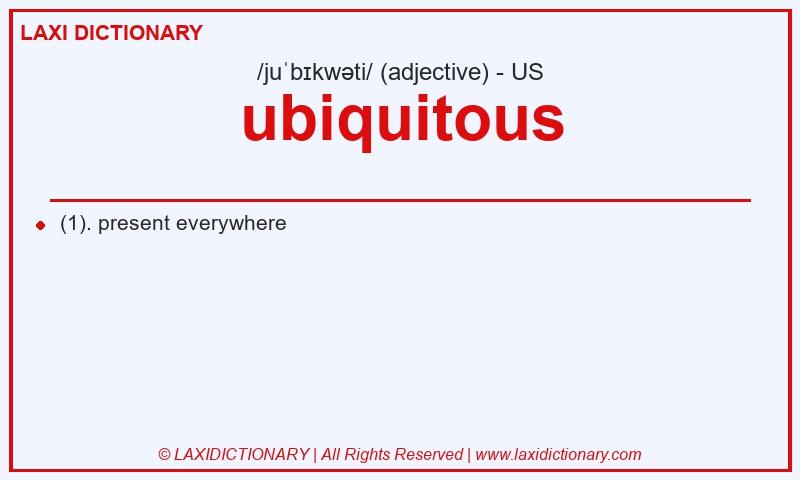 Definition ubiquitous in American English
