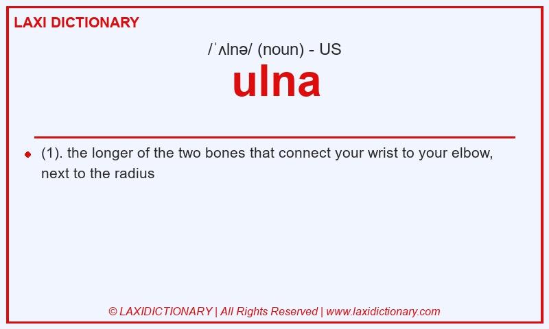 Definition ulna in American English