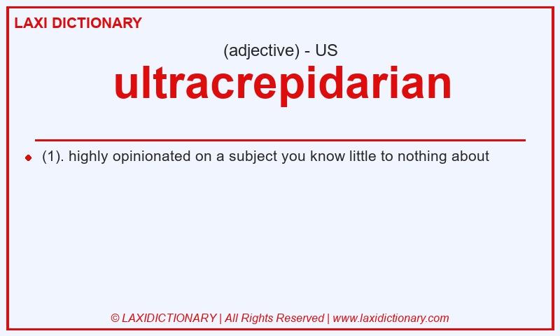Definition ultracrepidarian in American English