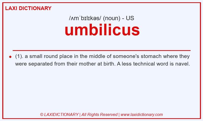 Definition umbilicus in American English